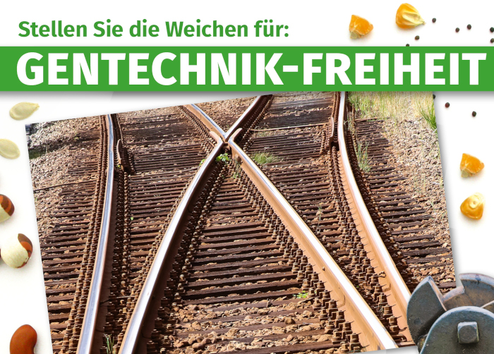 Gentechnik: Schall und Rauch im Namen der Nachhaltigkeit