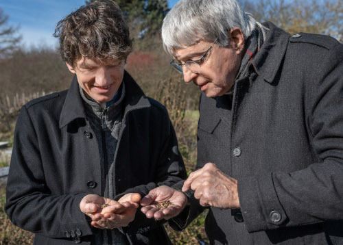 Dennree-Spenden für Saatgutfonds übersteigen 1 Million Euro!