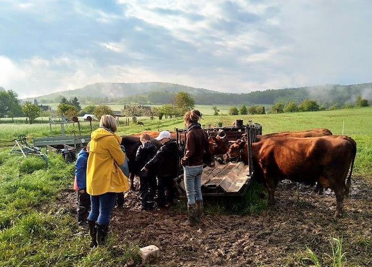 Einmal Landleben, bitte!
