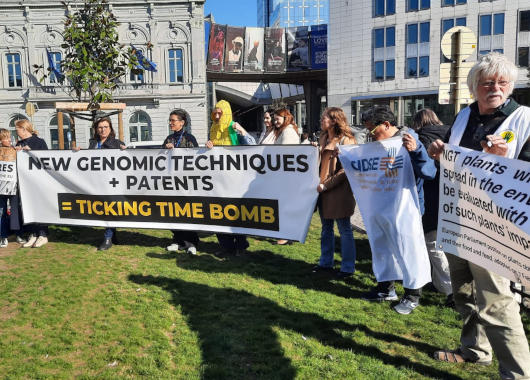 Eine Demonstration mit Bannern gegen die Gentechnik-Deregulierung in Brüssel