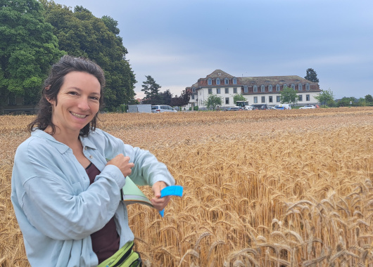 Die Züchterin Rachel Müller steht im Getreidefeld der Triticale.