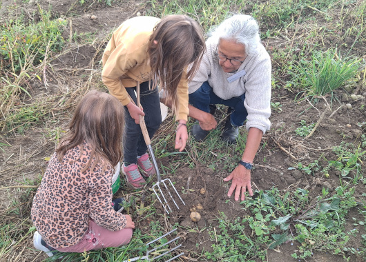 Landwirtschaft erleben – Kurzbericht zum Erlebnistag auf dem Gut Marienhof