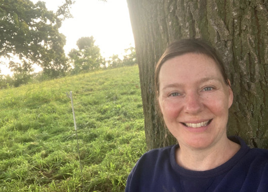 Eine Frau sitzt auf einer Wiese und lehnt an einen Baum.