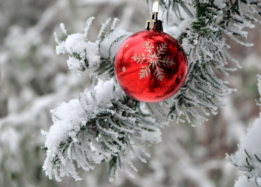 Ein verschneiter Tannenzweig mit einer roten Weihnachtskugel.