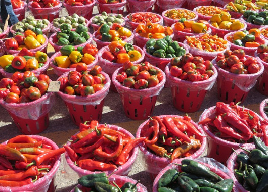 Positionspapier "11 Schritte für eine Zukunft ohne Hunger" anlässlich des Welternährungstages veröffentlicht