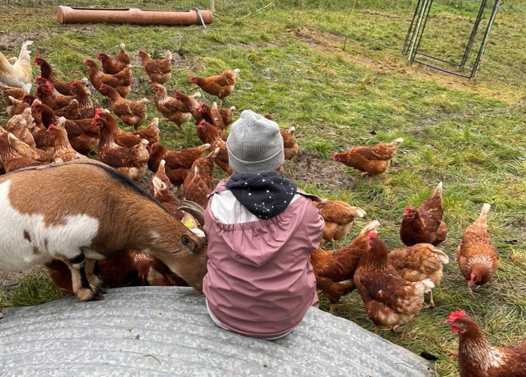 Landwirtschaft erleben bei den BioWochen NRW