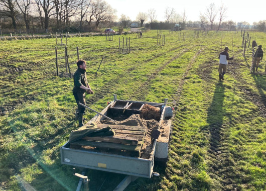 Eine Wiese mit neu gepflanzten Obstbäumen und einem Anhänger, auf dem Material von der Pflanzaktion liegt.