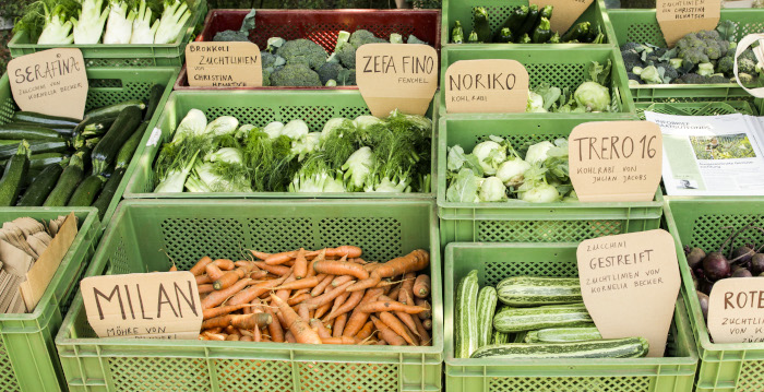 Gemüsevielfalt