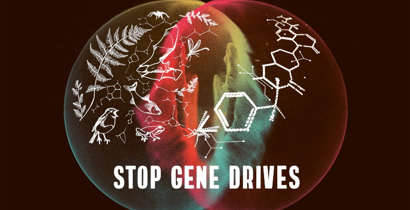 Grafik: Neonfisch.de