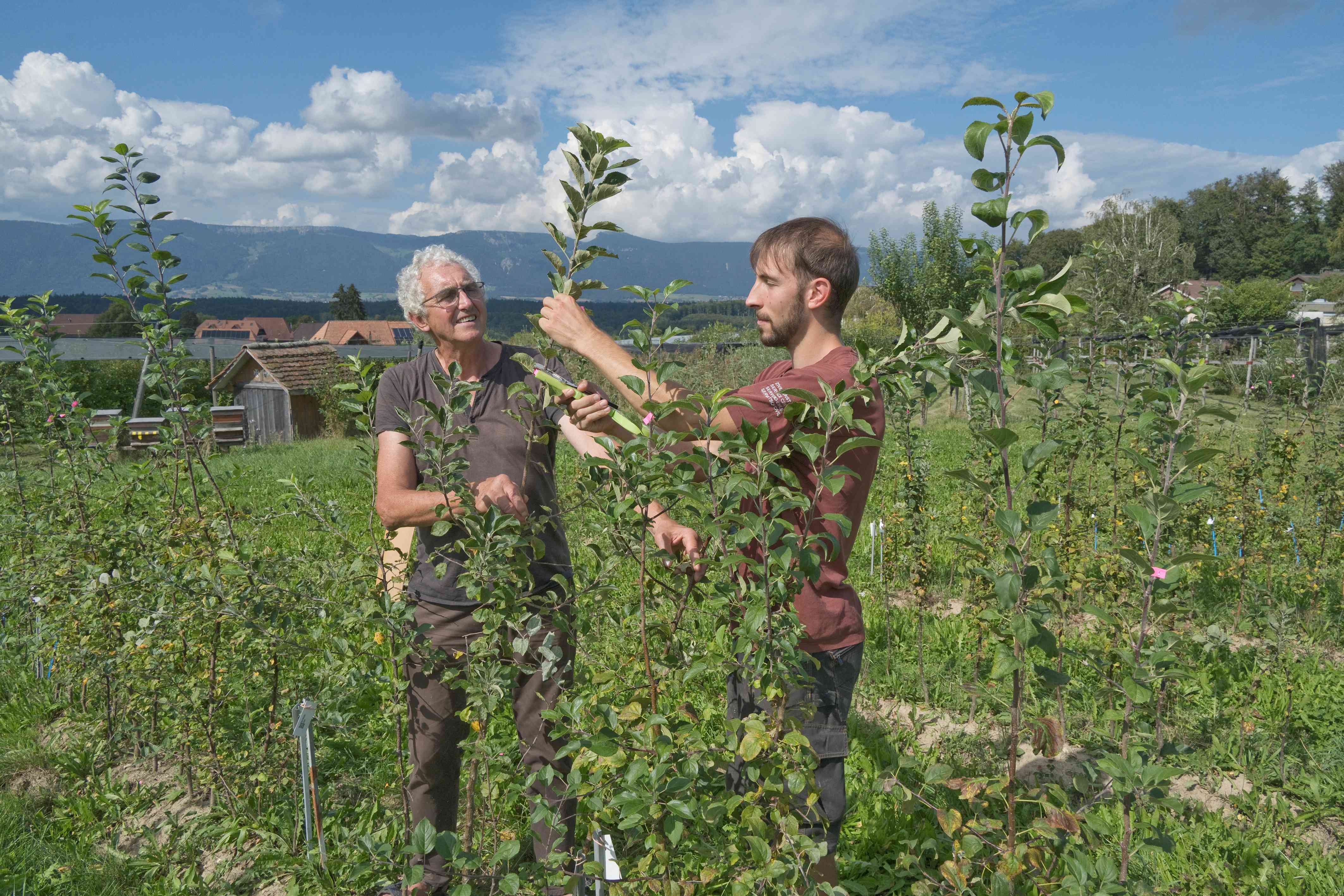 Aus den Förderprojekten: Herbstbesichtigung bei Poma Culta 