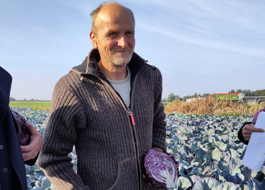 Sebastian Vornhecke steht auf dem Rotkohlfeld mit einem aufgeschnittenen Rotkohl in der Hand.