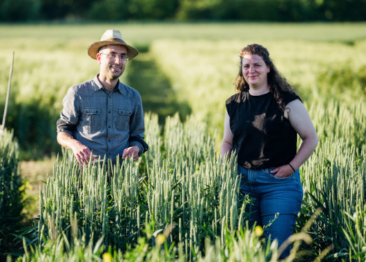 Dr. Carl Vollenweider und Kathrin Neubeck stehen in einem Getreidefeld