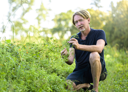 Infobrief Saatgutfonds - Das schwarze Gold vom Bodensee