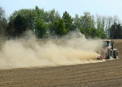 Neue Perspektiven auf die neuen Gentechniken