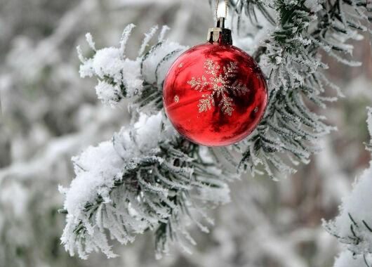 Frohe Weihnachten wünscht die Zukunftsstiftung Landwirtschaft