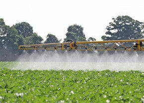 Pestizidabgabe kann Spritzmitteleinsatz halbieren