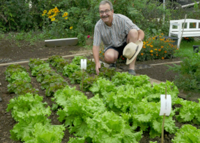 Live dabei sein: Bio-Züchtung im eigenen Garten
