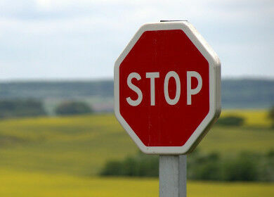 Ein Stoppschild vor einem Rapsfeld