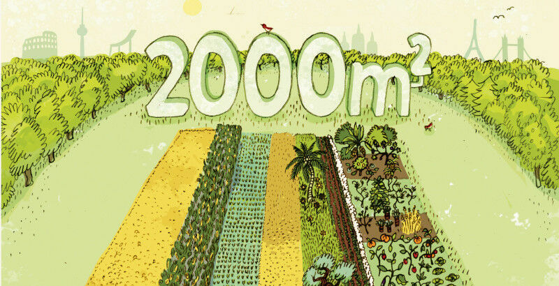 Illustration: Annika Huskamp Illustration: Annika Huskamp