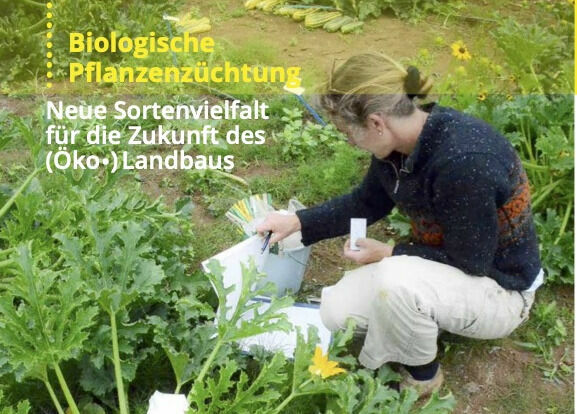 Neue Infobroschüre zur biologischen Pflanzenzüchtung