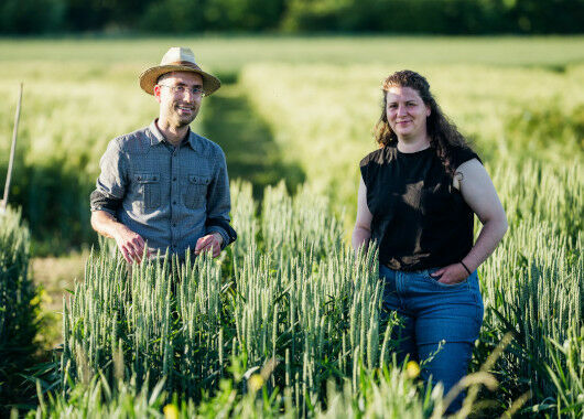 Mit Respekt vor dem Lebendigen - Infobrief Saatgutfonds