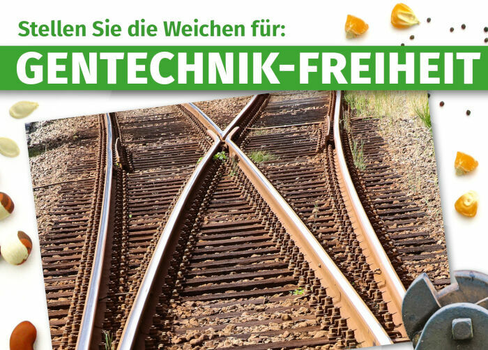 Gentechnik: Schall und Rauch im Namen der Nachhaltigkeit