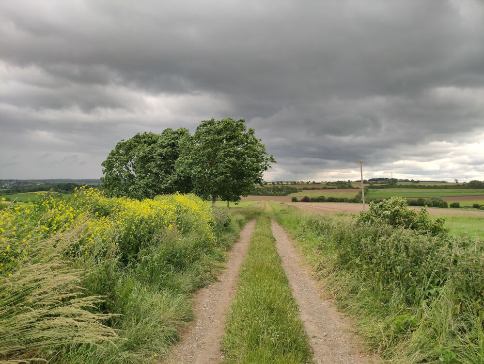 Die Landschaft um die Domäne Frankenhausen