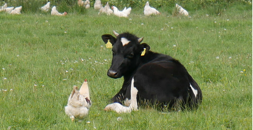 Foto: Bromberg Foto: Bromberg