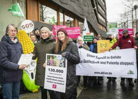 Deutsche Lebensmittelhändler verfassen Brandbrief gegen Gentechnik-Deregulierung