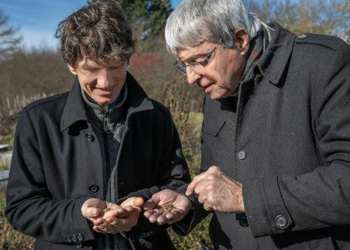 Dennree-Spenden für Saatgutfonds übersteigen 1 Million Euro!