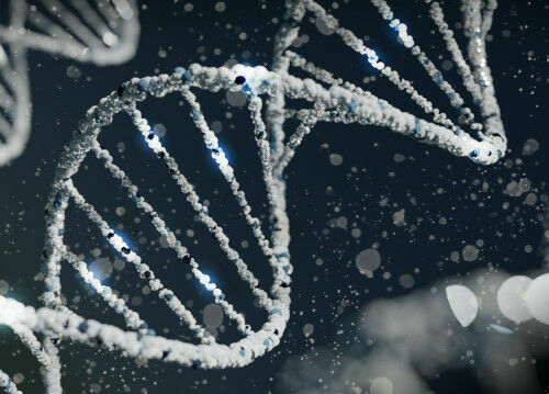 Doppelhelix eines DNA-Strang