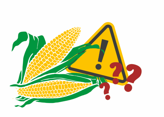 Letzte Chance - Deregulierung der Gentechnik verhindern!