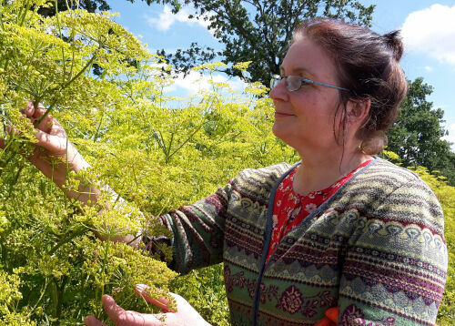 Infobrief Saatgutfonds: Ein Ja zur Ökozucht