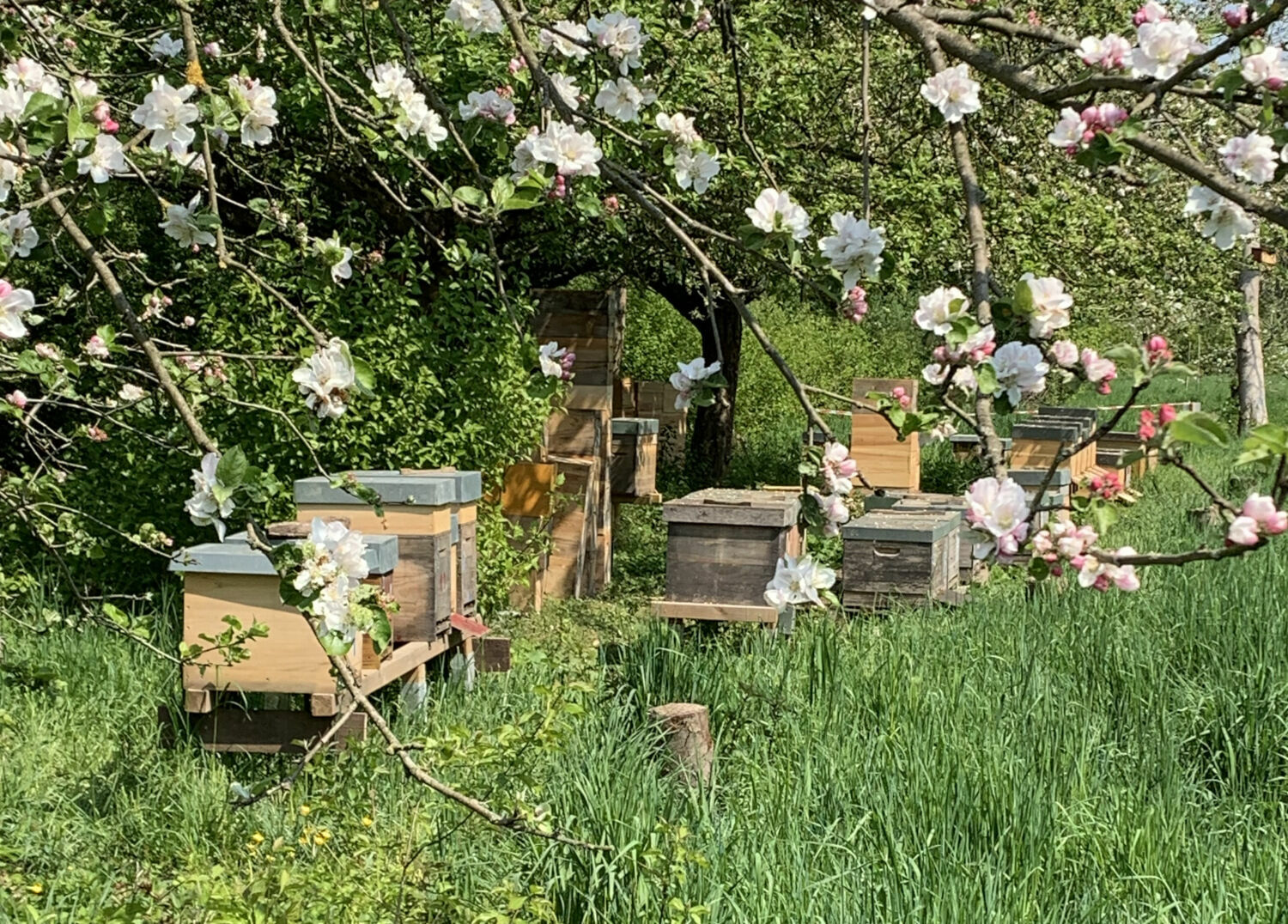 Abschlussbericht Fluthilfe Ökolandbau 2021