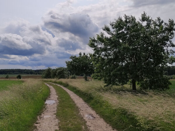 Die Landschaft um die Domäne Frankenhausen
