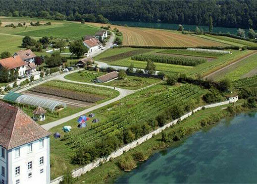 Saatgut-Tagung 2024 als Feldtag im Sommer