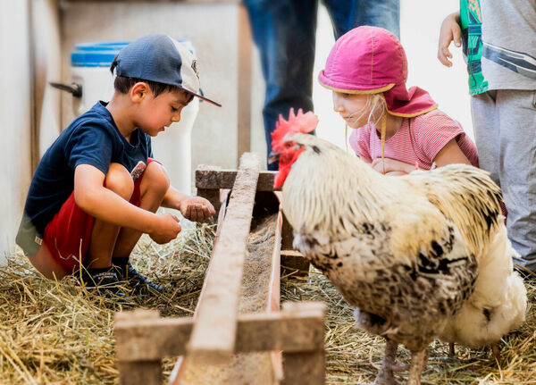 Sarah Wiener Stiftung | Florian Gaertner