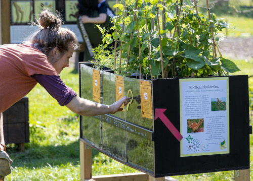 Foto: Volker Gehrmann