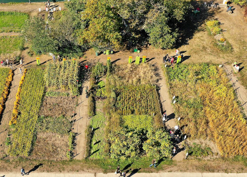 Mit einer Spende zum Jubiläum gratulieren - der Weltacker wird 10 Jahre alt