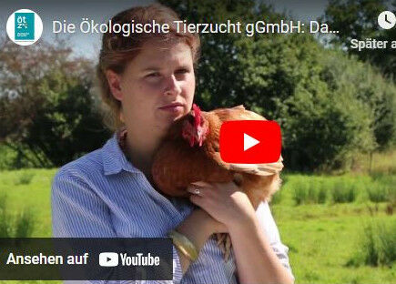 Durch das Klicken auf dieses Bild werden Sie zum Youtube-Channel der ÖTZ weitergeleitet.