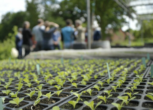 Tag der offenen Tür bei der Bingenheimer Saatgut AG