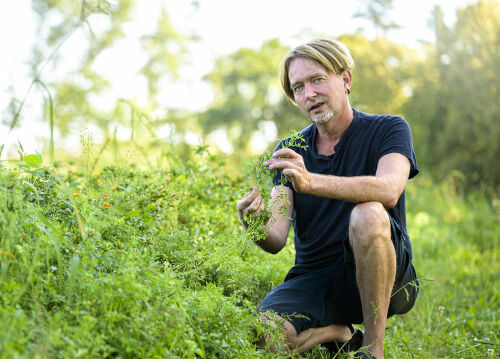 Infobrief Saatgutfonds - Das schwarze Gold vom Bodensee