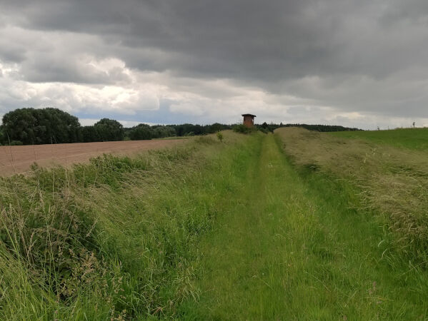 Die Landschaft um die Domäne Frankenhausen