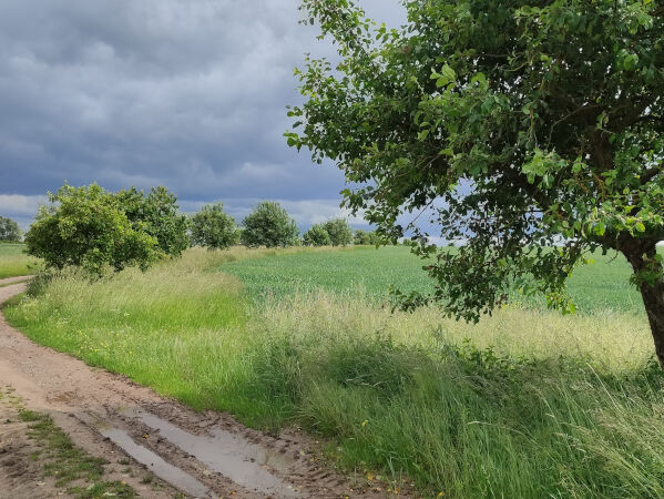 Die Landschaft um die Domäne Frankenhausen