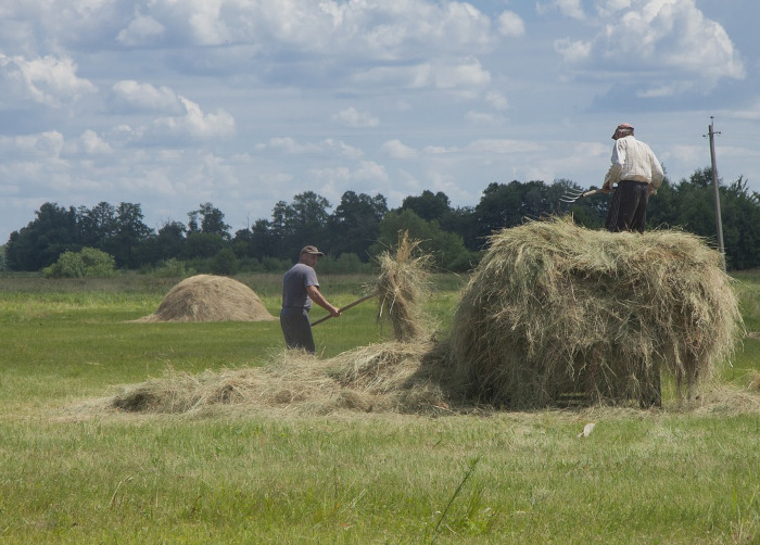 Ukraine - Das Interesse am Ökolandbau wächst